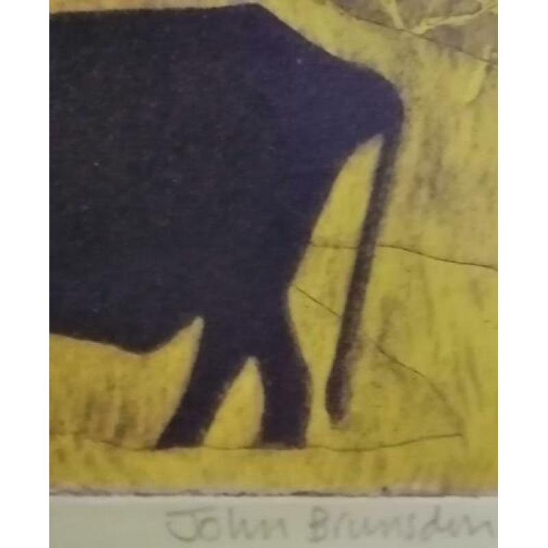 Lino famous artist John Brunsdon vee in wei kleurrijk stuk.