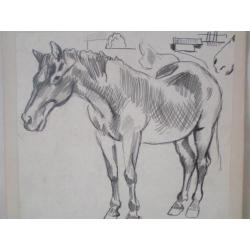 Hubert Bekman PAARD te limburg een potlood WERK tekening