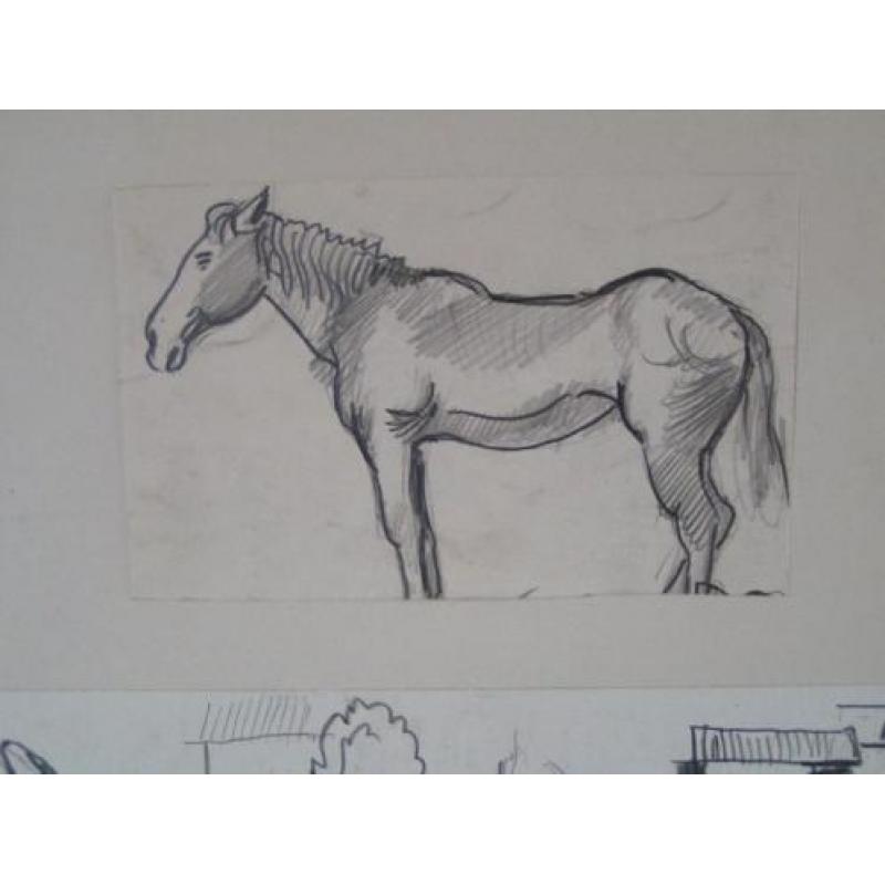 Hubert Bekman PAARD te limburg een potlood WERK tekening