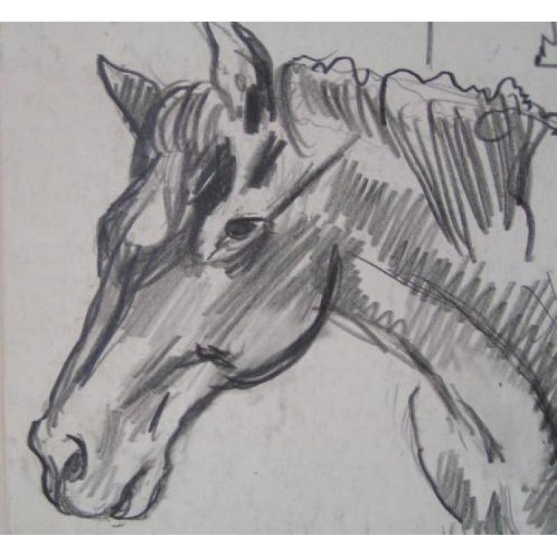 Hubert Bekman PAARD te limburg een potlood WERK tekening