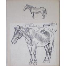 Hubert Bekman PAARD te limburg een potlood WERK tekening