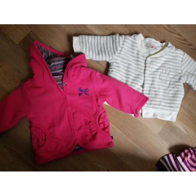 Babykleding / meisje maat 50